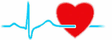 قلب و عروق چیست در مورد قلب و عروق بیماری های قلبی و عروقی pdf شایع ترین بیماری های قلبی درمان بیماری قلبی علائم ظاهری بیماری قلبی علائم بیماری قلبی در زنان نام بیماریهای قلبی عروقی